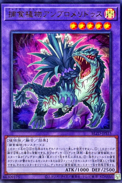 BLZD-JPS15(UR) 捕食植物鳳梨食蟲穀精遊走鯨