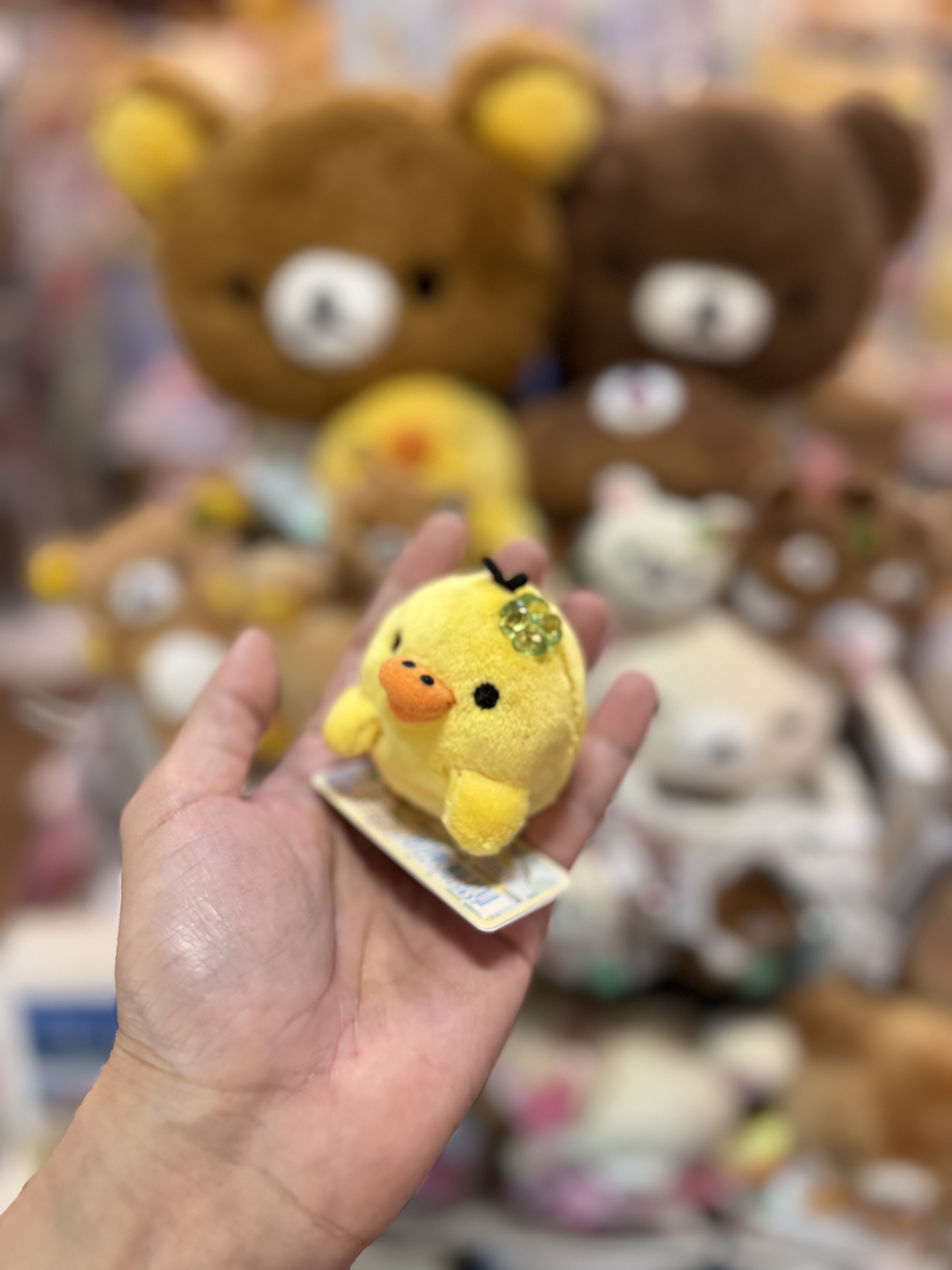 《現貨》全新小熊10週年紀念四葉草系列趴地手玉公仔