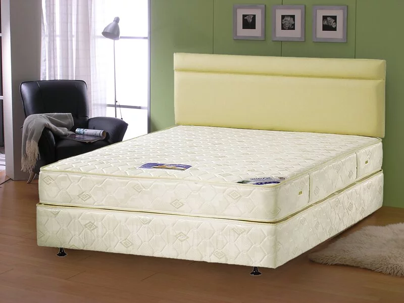 VONO富豪 脊康型Spine Supporter