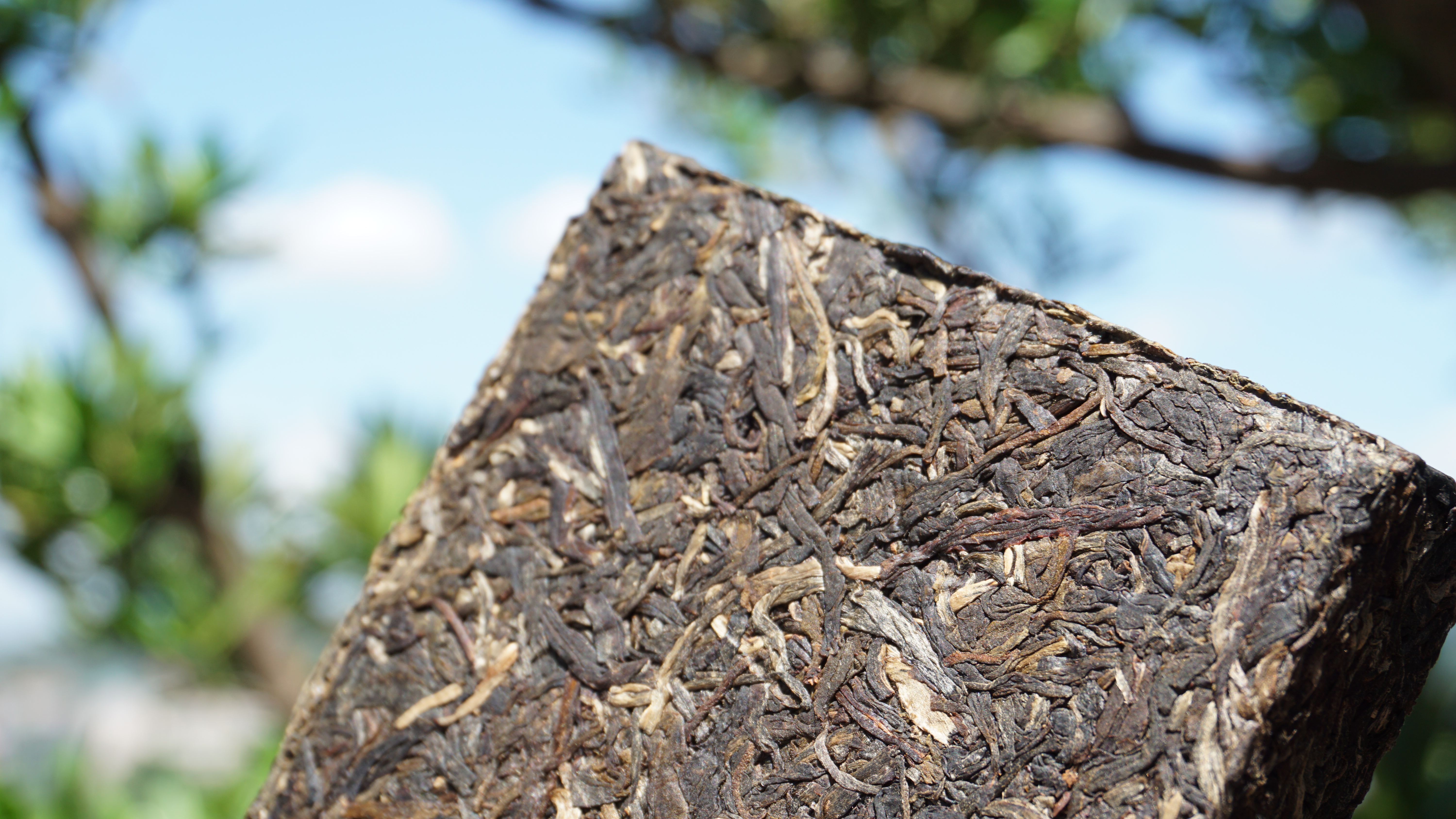 2016年 藏葉 #601(易武古樹500年以上)