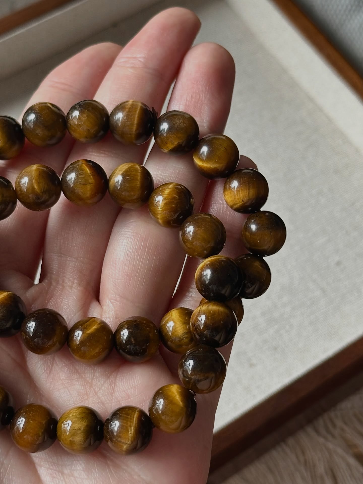 黄虎眼 ｜ Yellow Tiger’s eyes