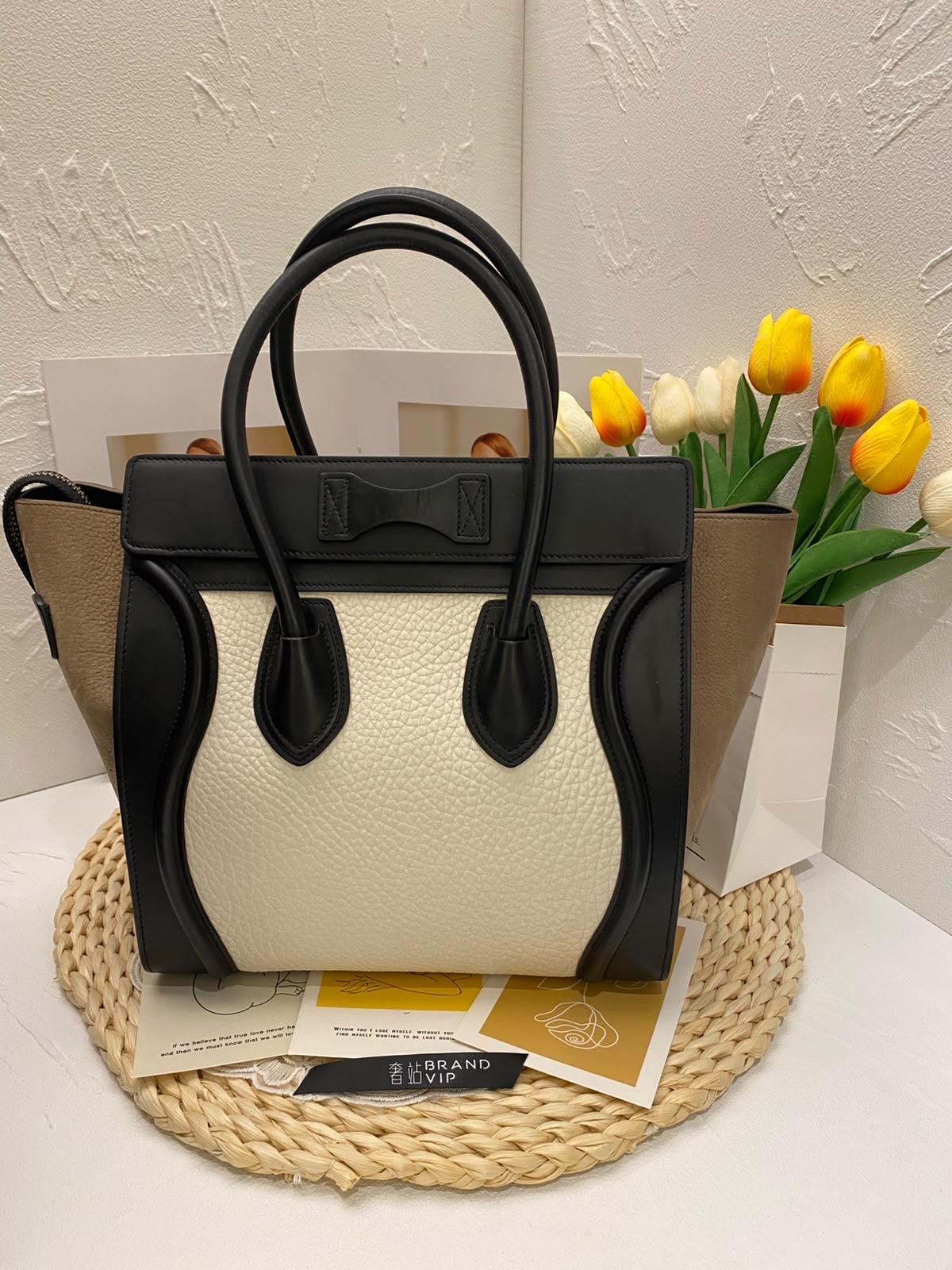 Celine Tricolor Luggage Bag