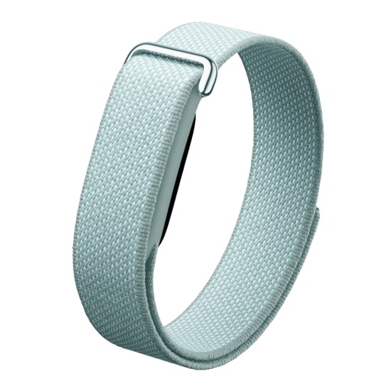 Google Fitbit Air 智能手環 四色 [平行進口]