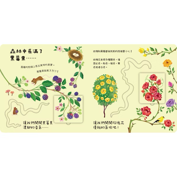 讓我們聞聞看 戶外有什麼！