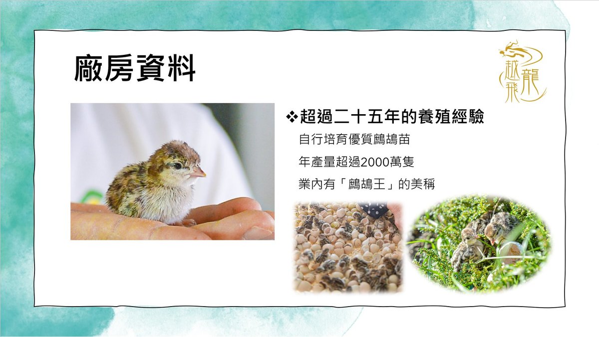 越飛龍甘氏無激素 鷓鴣皇 (300天)