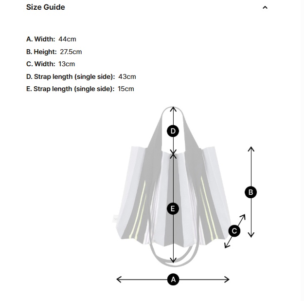 PLEATSMAMA New Two-Way Bag (5色)