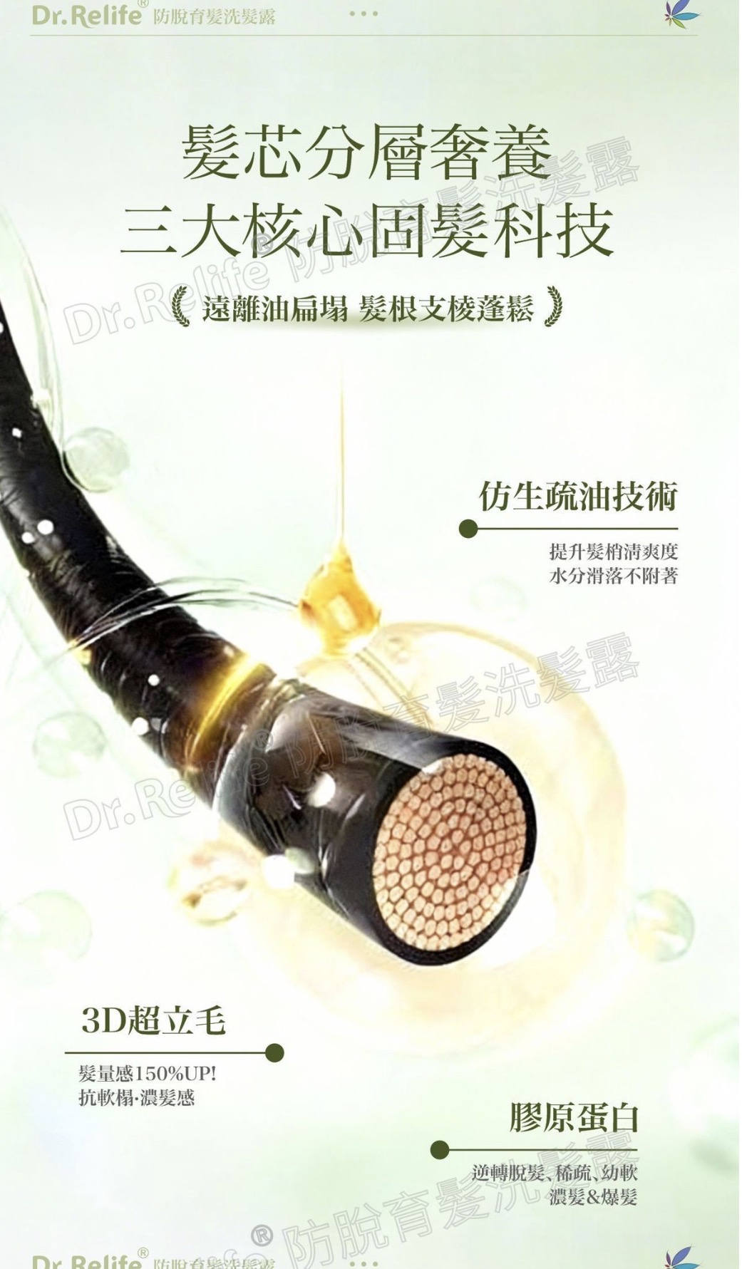 Dr.Relife 防脫洗髪露/護髮素