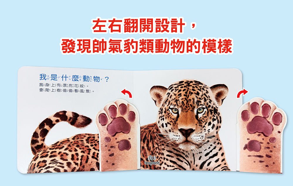 幼福 方形書【動物魔術秀】
