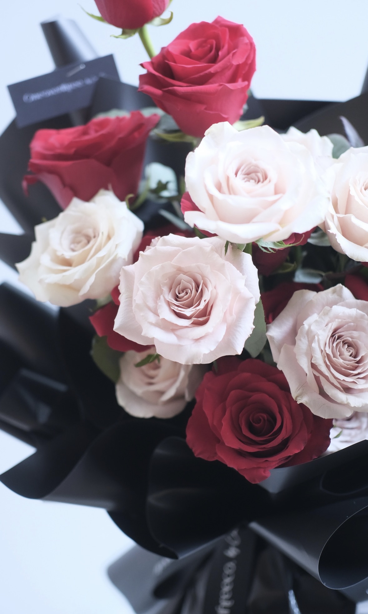 Red + Quicksand (10+10 stems)