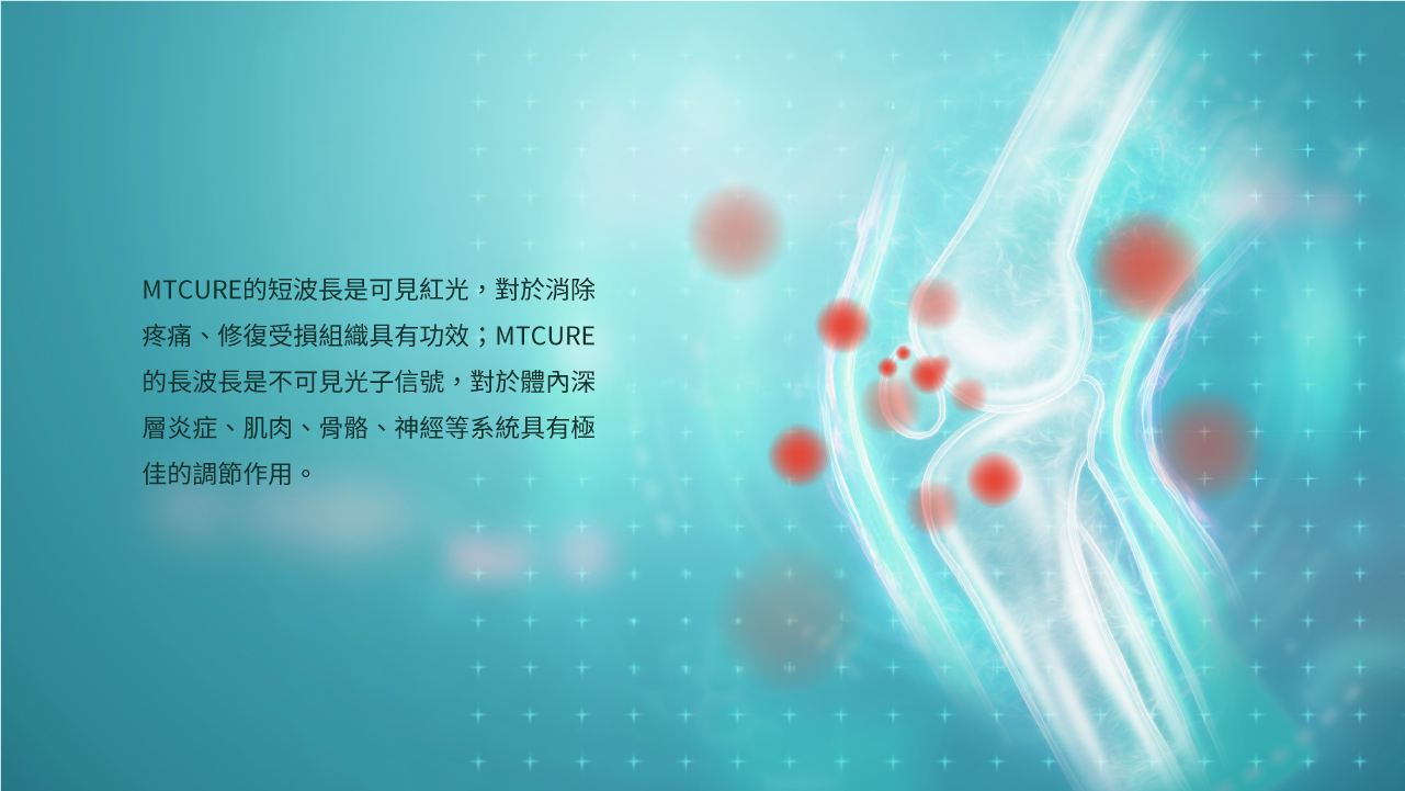 Maxcare - 美天膝健寶 [預計 : 7月中至尾發貨]