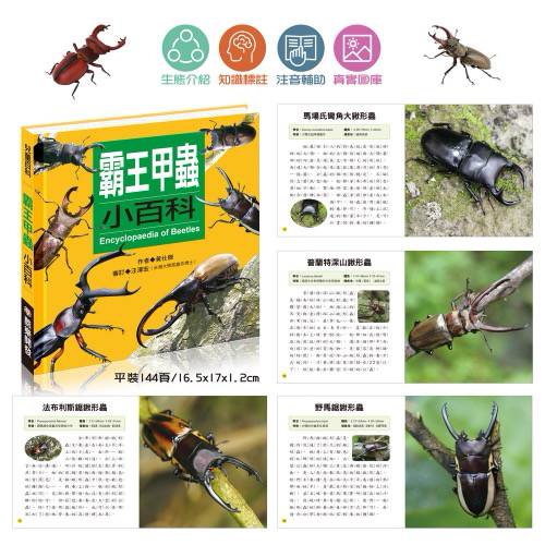 酷樂 小百科系列: 霸王甲蟲小百科