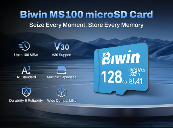 BIWIN MS100 MICROSD Card 65GB 128GB