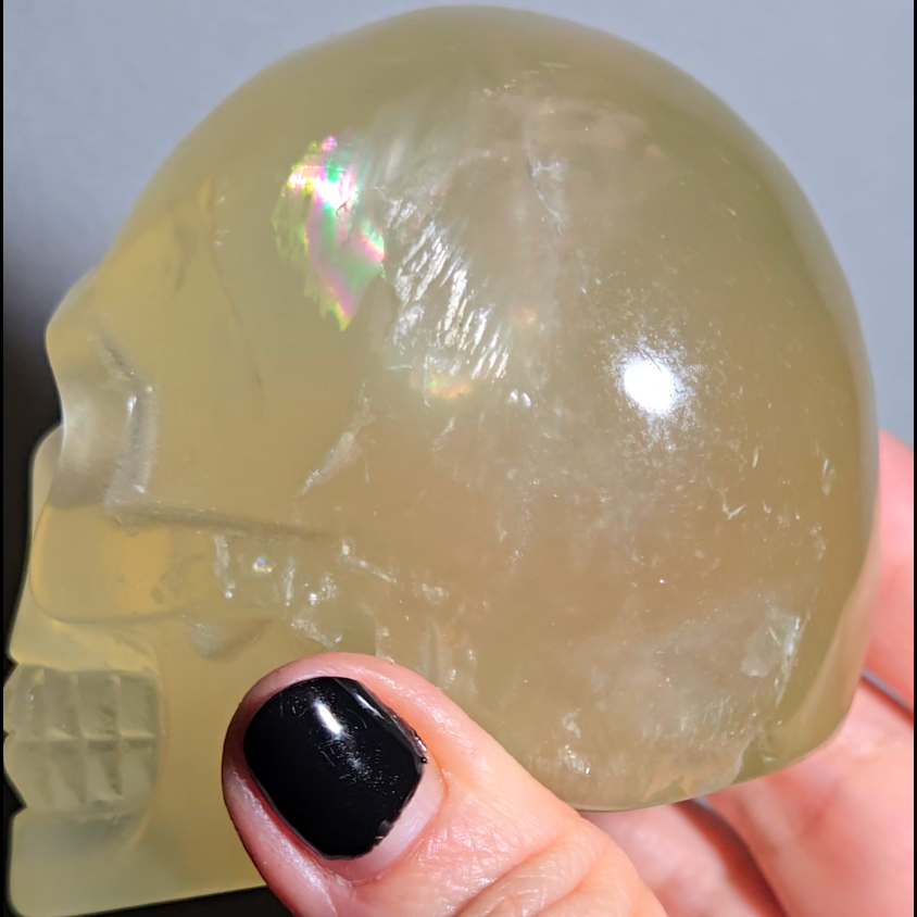 Citrine skull with rainbows and multiple star flash asterism - C59