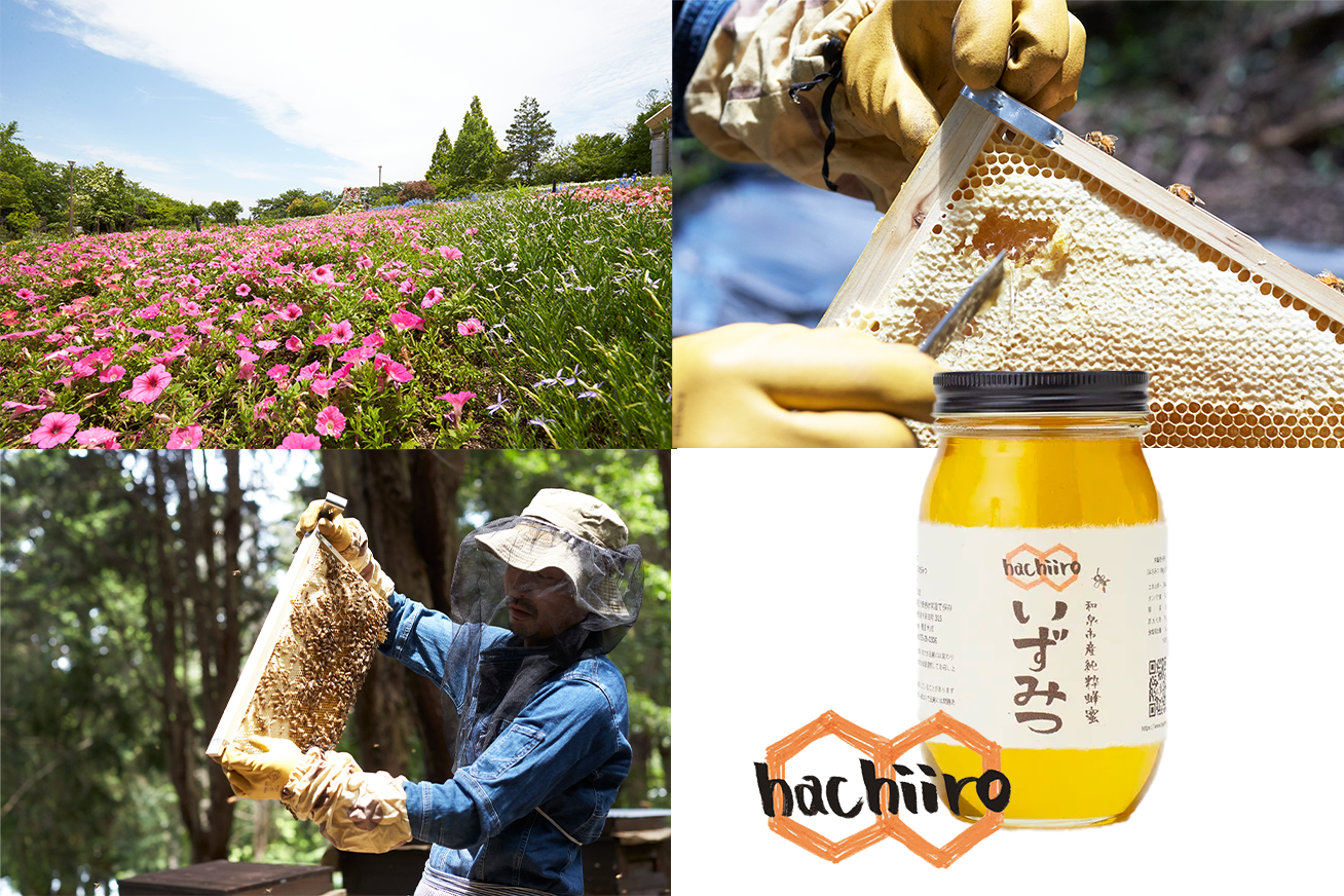\🎀【預訂】大阪限定 Osaka Honey Quattro Formaggi 14件