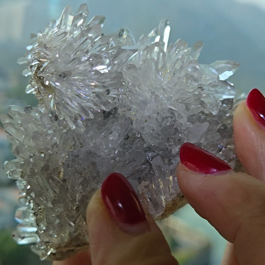 Chrysanthemum needle quartz with flower buds - CQ477