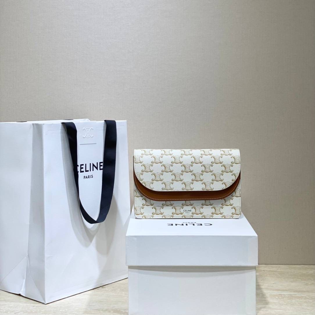 🔥大货实拍图 𝗖𝗘𝗟𝗜𝗡𝗘 ♥ 𝗖𝗔𝗡𝗩𝗔𝗦 𝗪𝗢𝗖风琴包 型号：10D852 尺寸：20*11.5cm