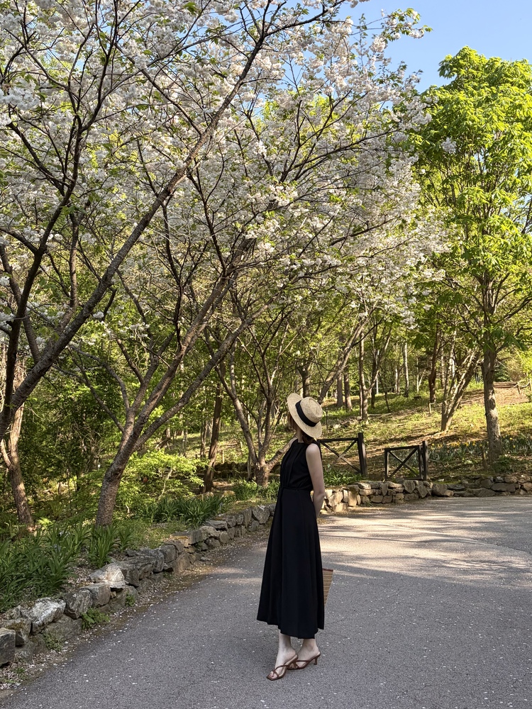 Pleated Halter Maxi Dress (Black)