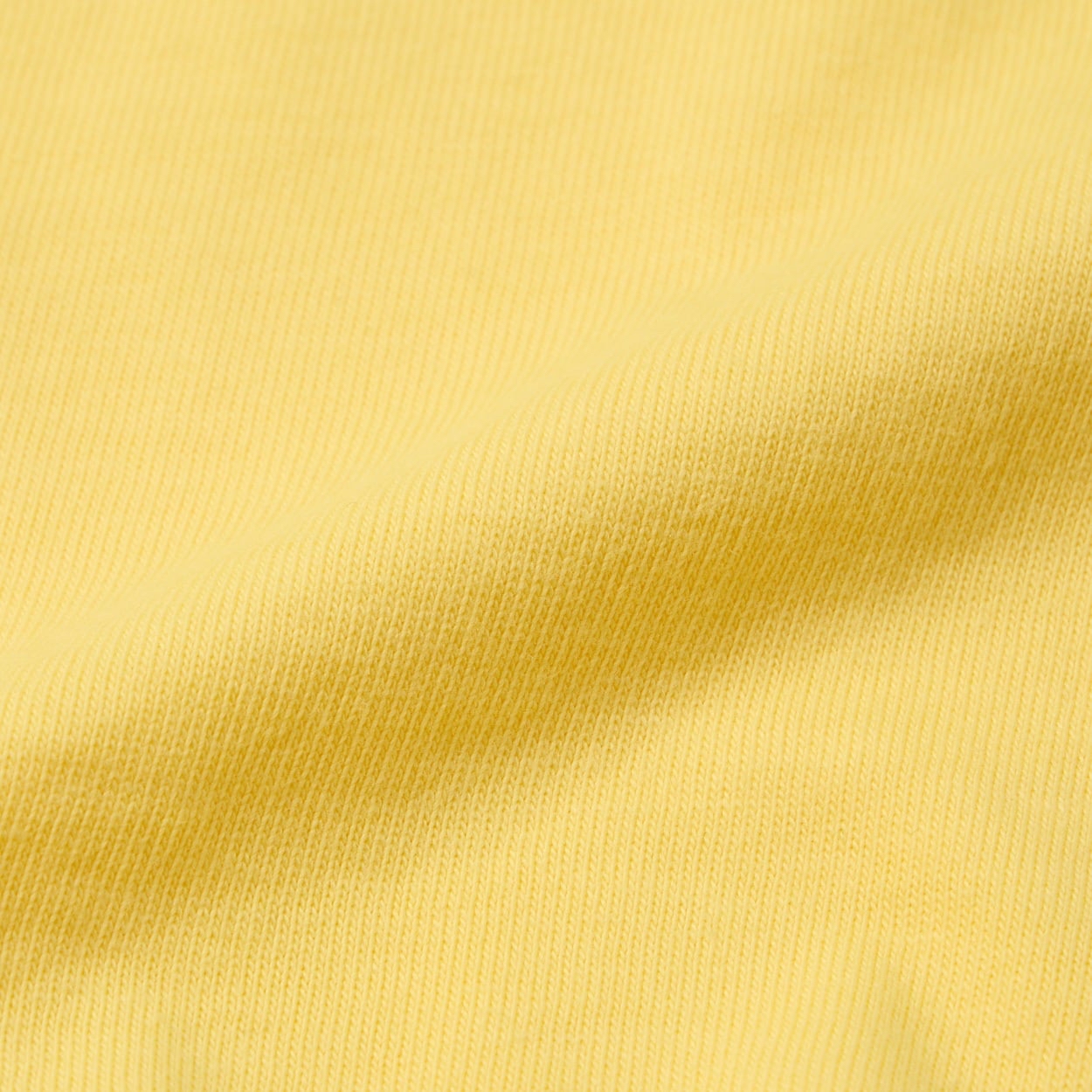 🇯🇵預訂 日本直送🇯🇵Buddy Lee 兩色標誌燙金印花短袖T恤