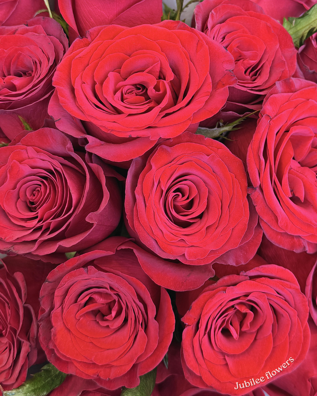 红玫瑰圆形花束