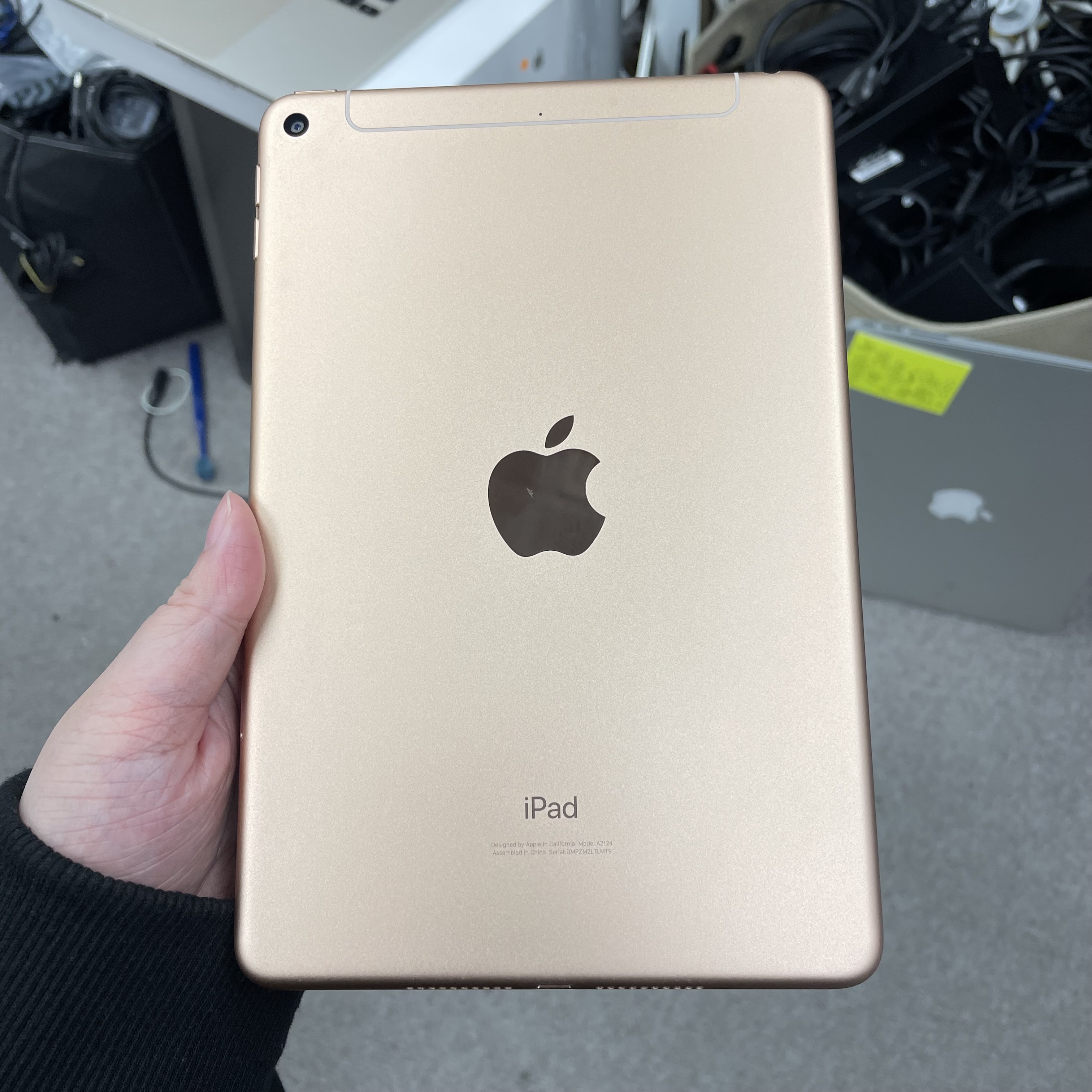 *483381 iPad mini 5 勁靚機 64GB 插卡版 粉色 pink