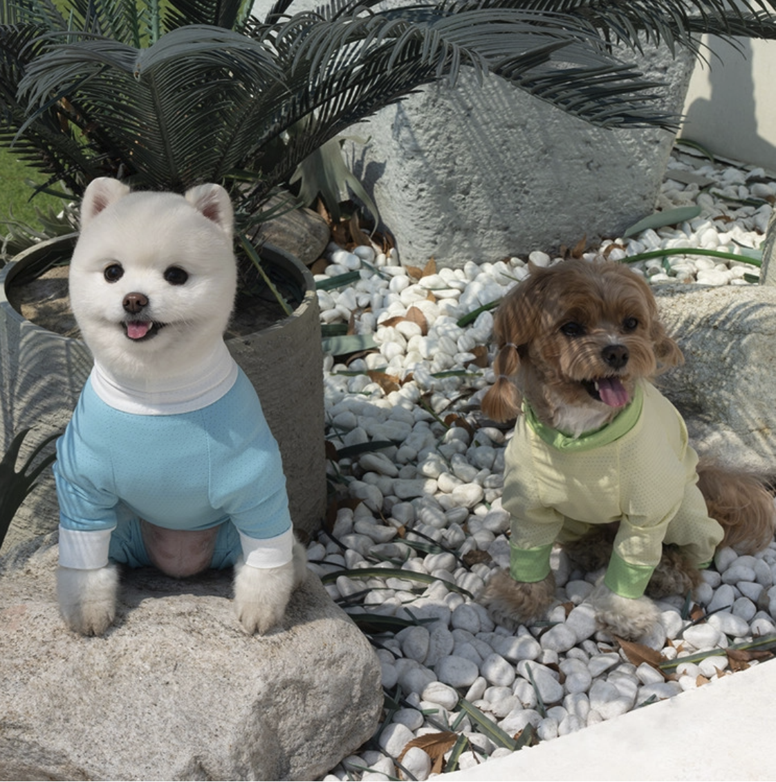 *SuperPet🇰🇷 狗狗全方位防護涼感連身衣(DG414)
