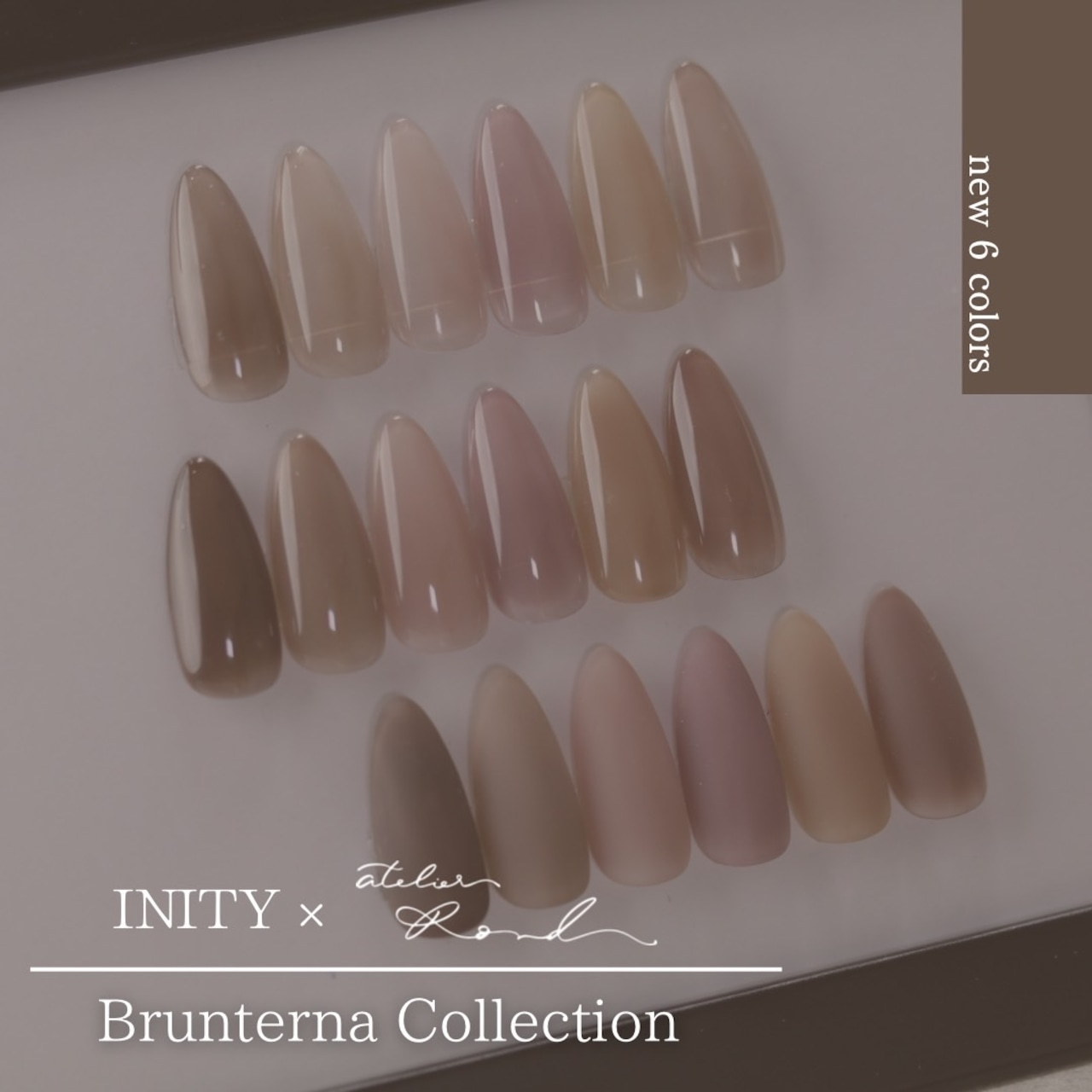 INITY｜Brunterna Collection 6色