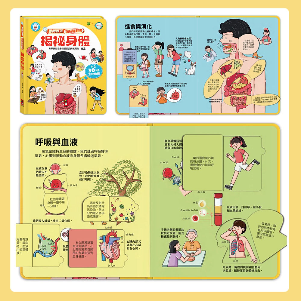 風車 百問百答圖解翻翻書-揭祕身體