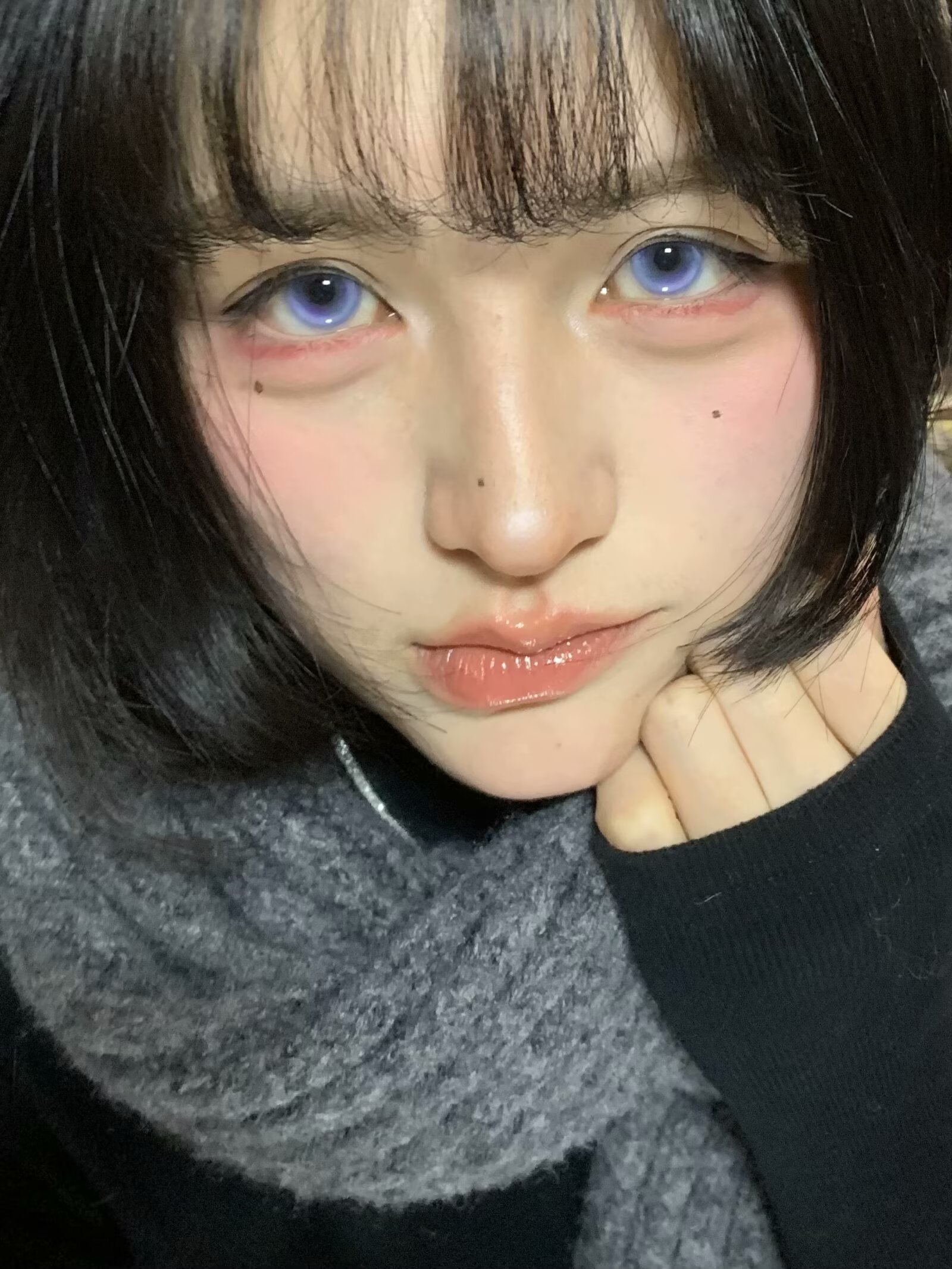 EggUncle 半年拋 小狗火龍果/失焦庇護所