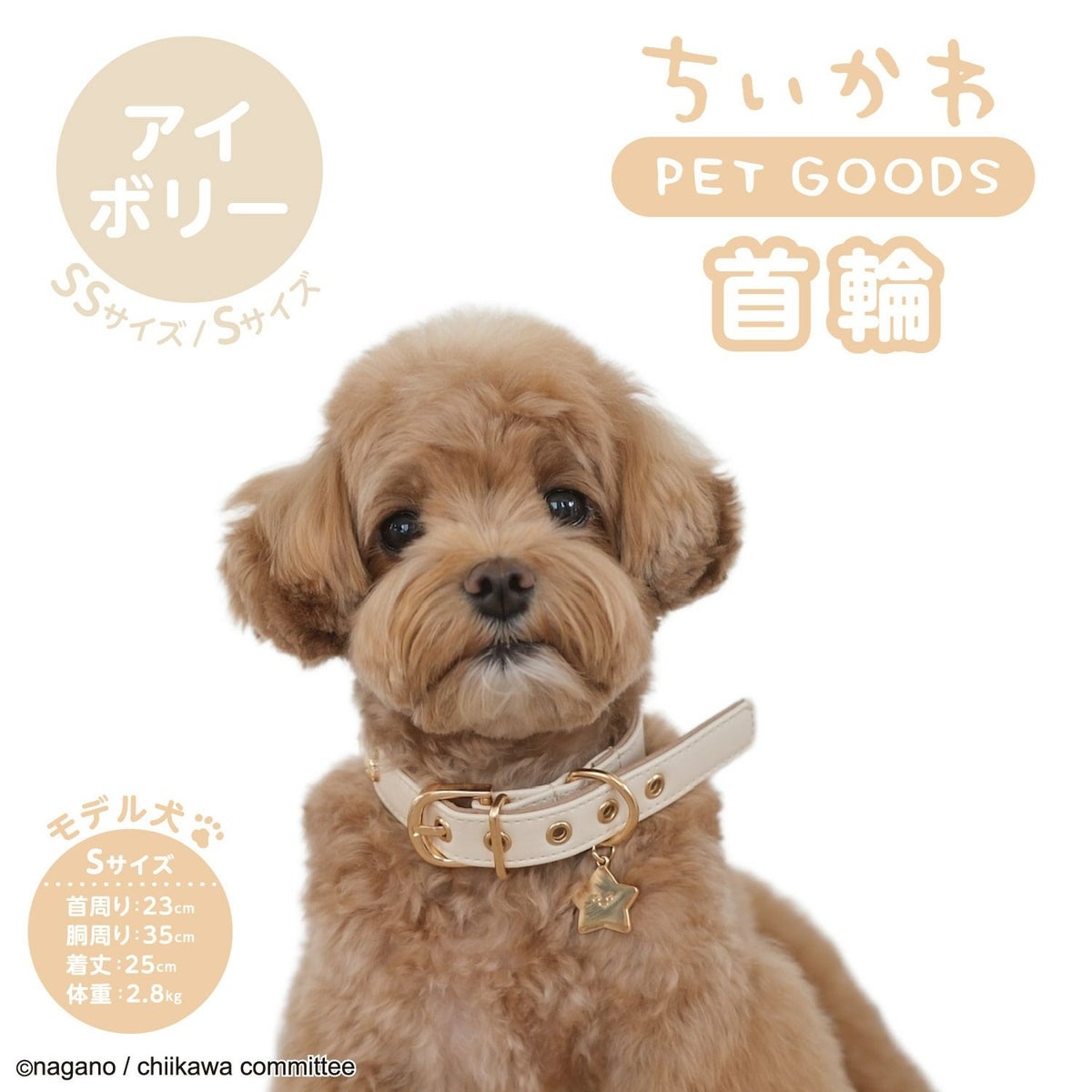 🌸 【預訂】Chiikawa 小型犬用 頸圈(合皮)