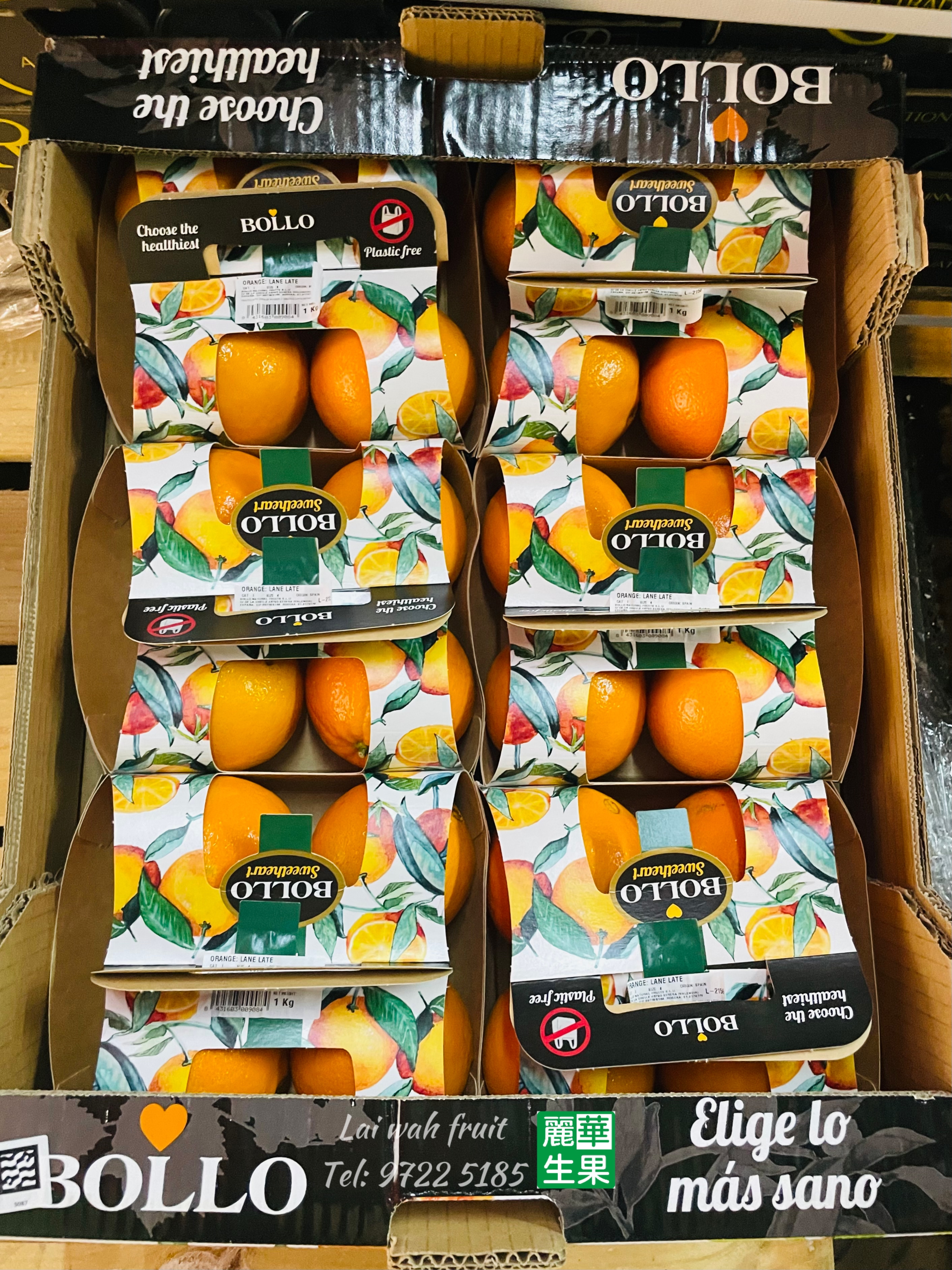 【西班牙Bollo 寶露公主甜橙】