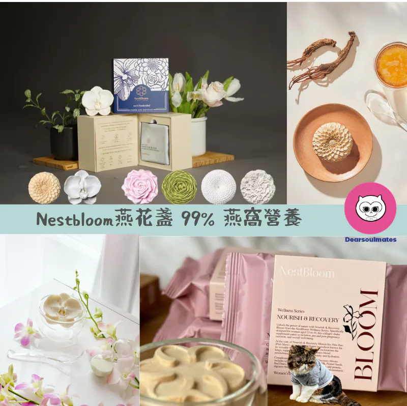 99% 燕窩營養都能保留在Nestbloom燕花盞