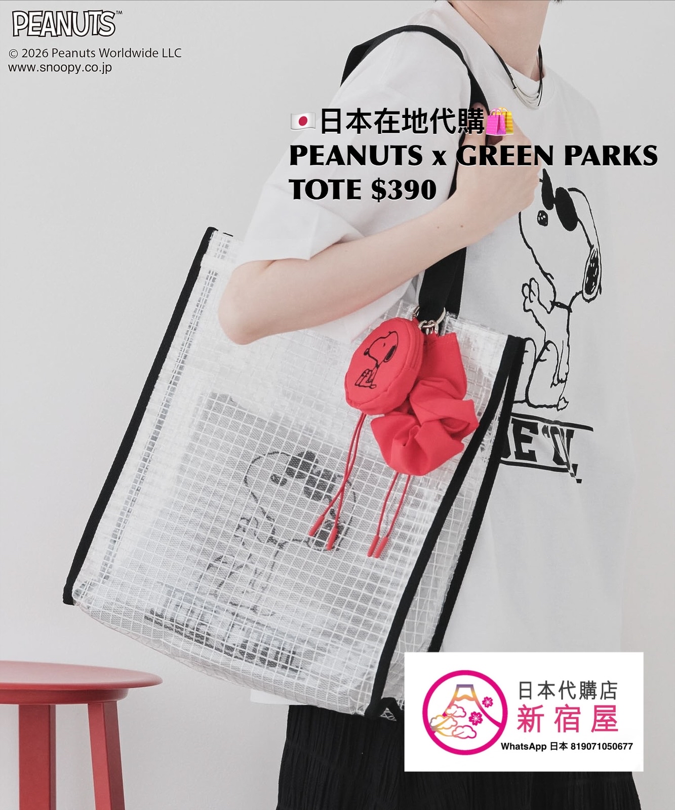 PEANUTS x GREEN PARKS TOTE