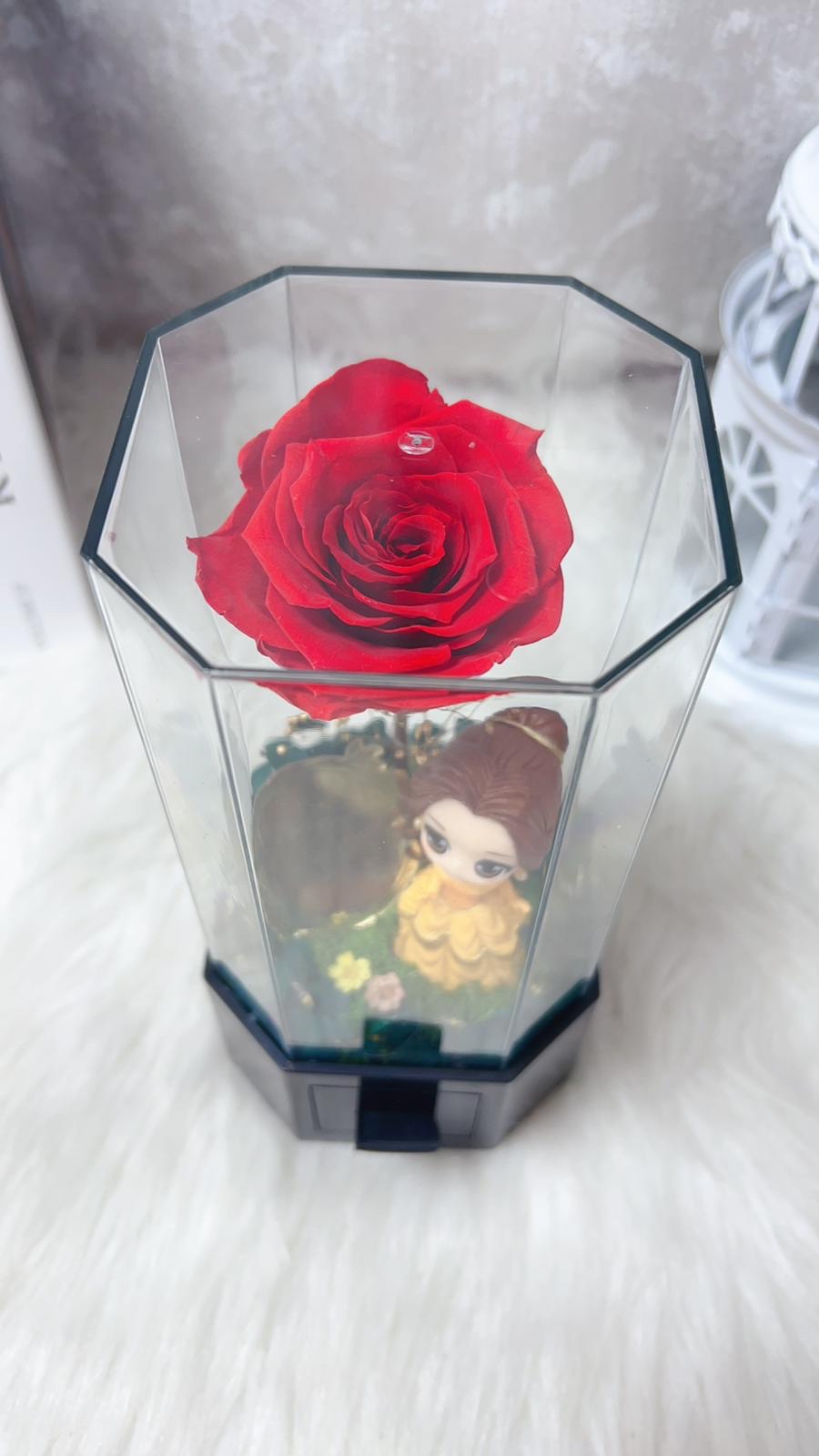 貝兒公主紅玫瑰永生花飾物花盒