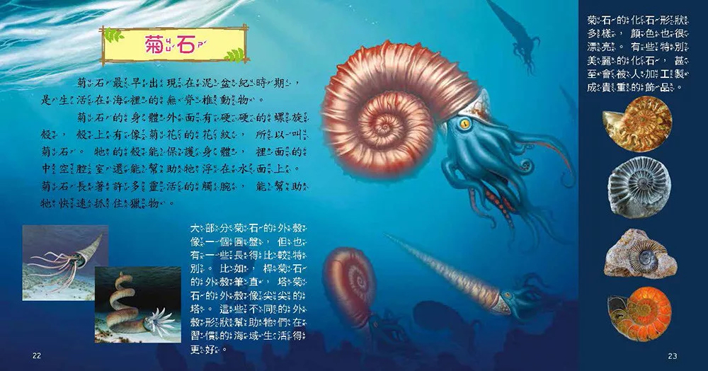 🔸預購貨品🔸史前動物小百科