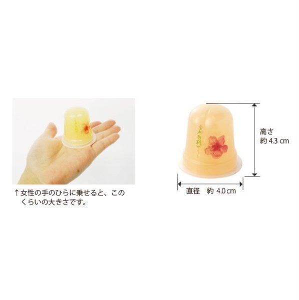 名古屋限定【桃花亭】迷你熟白桃果凍