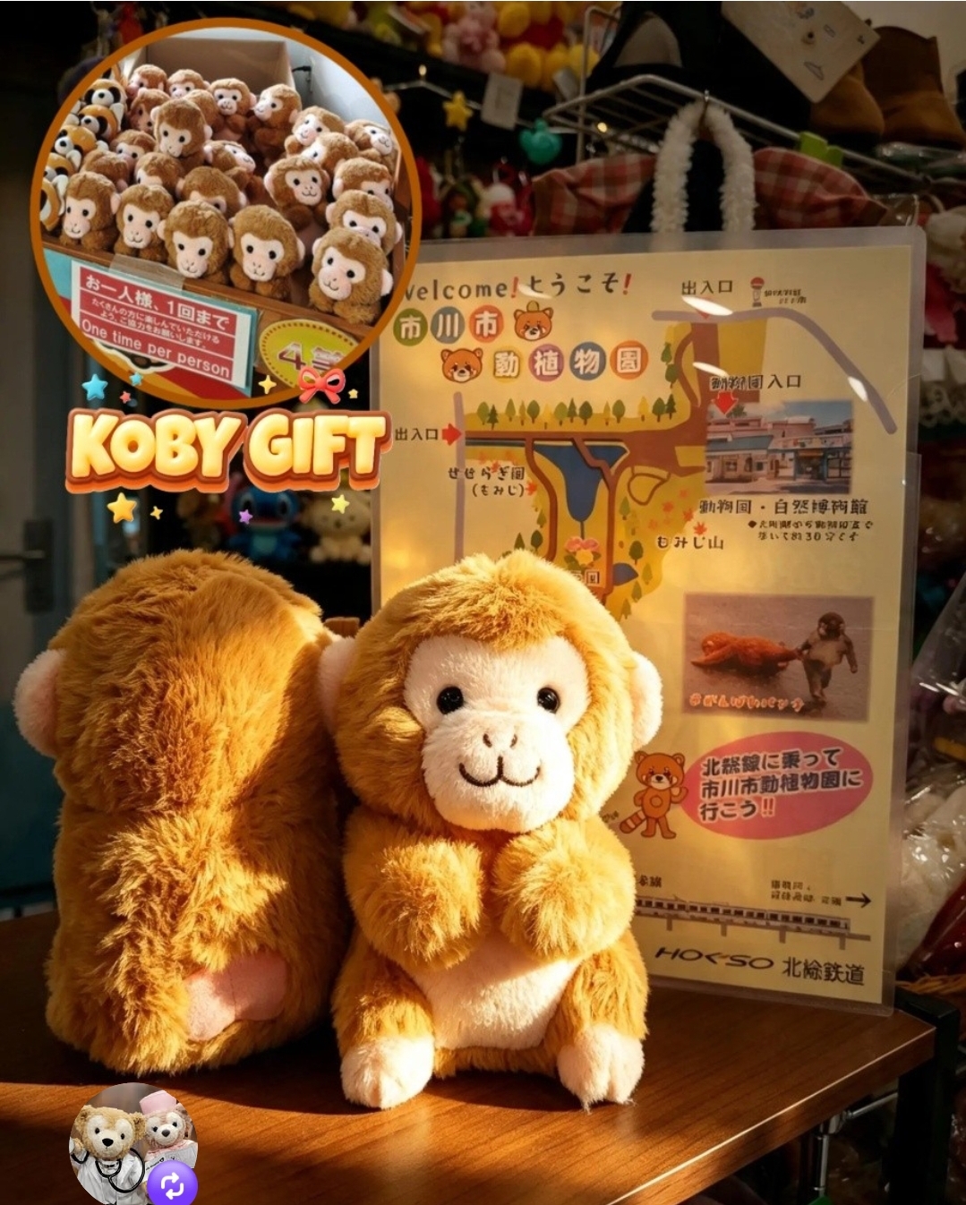 日本 市川動物園 ss size 馬騮仔 punchi 君 抽獎版