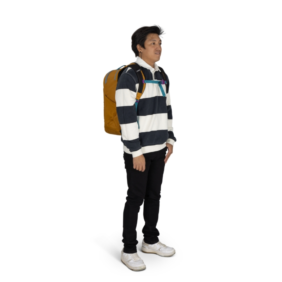 Osprey Proxima 30 日常背包