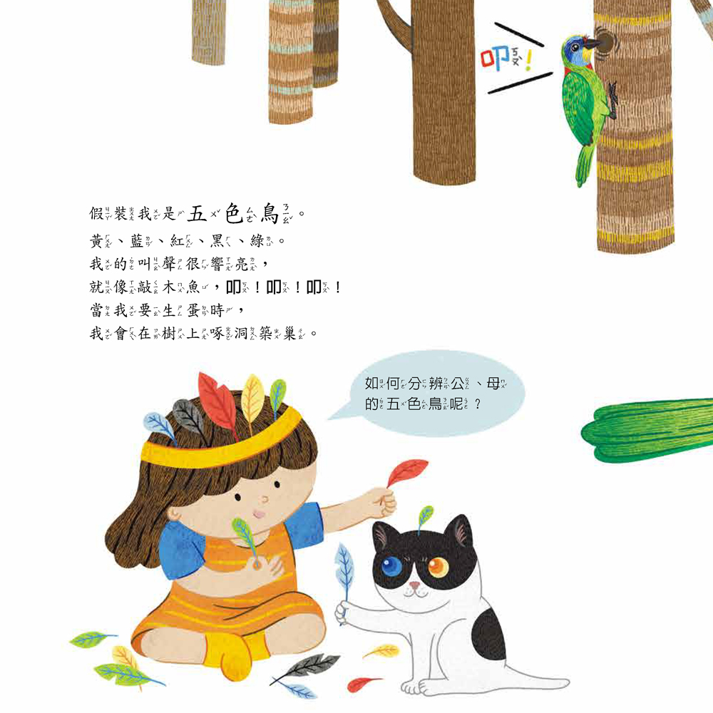 小五南 假裝我是貓頭鷹─玩假扮遊戲認識鳥類