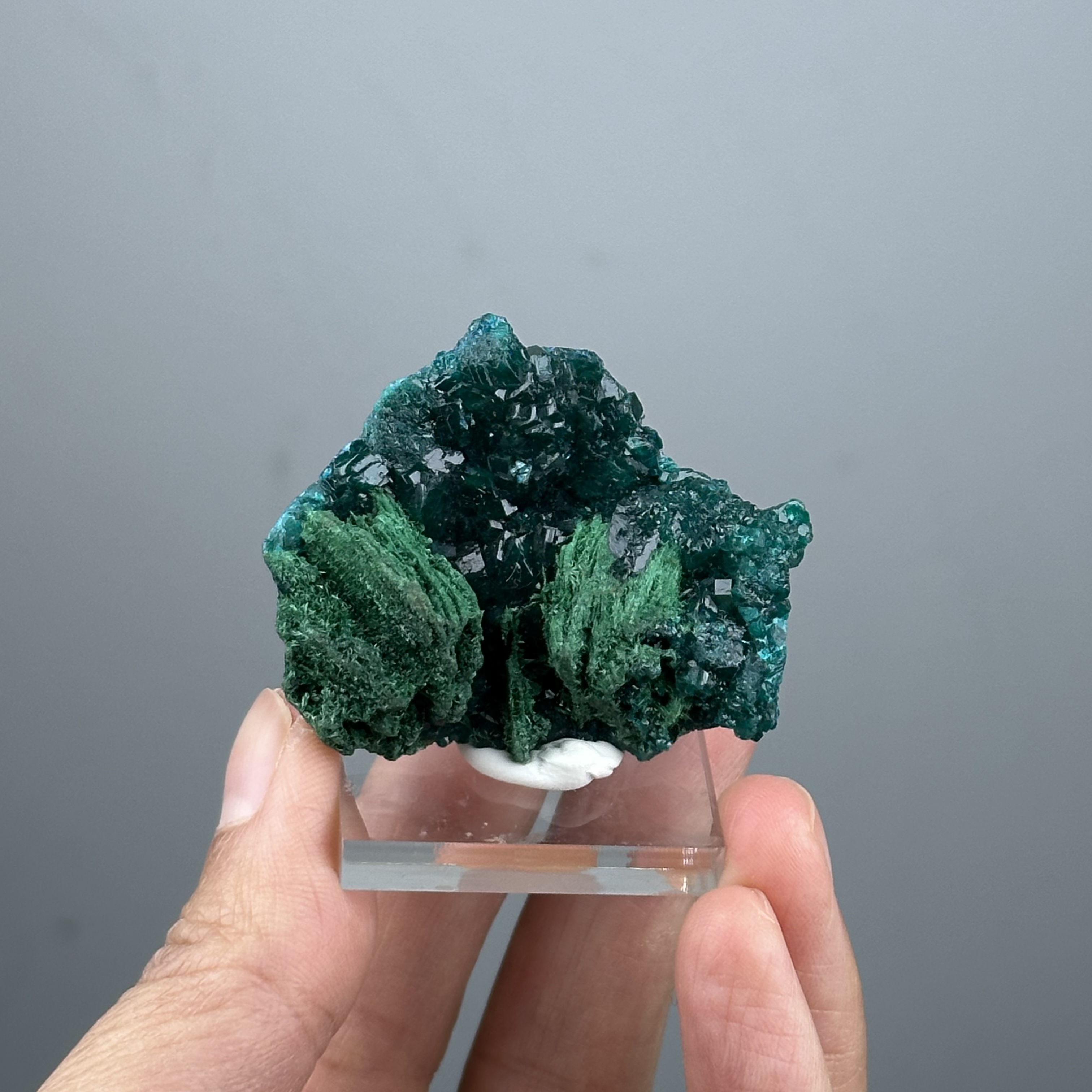 Dioptase and Malachite - 翠銅礦與孔雀石