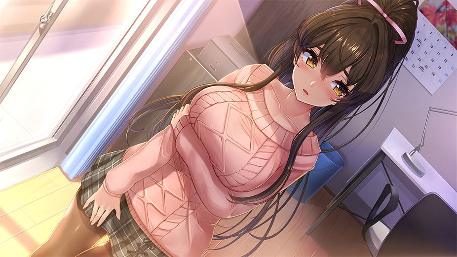 【預售 3/9】NS Days Collection: 女忍者戀愛二部曲 / Days Collection: NinNin Heroines 中/英/日文  (中文封面) NSW-4017