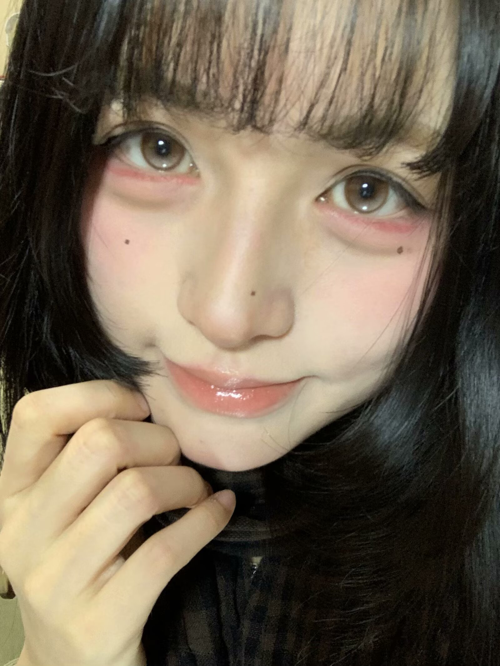 EggUncle 半年拋 小狗火龍果/失焦庇護所