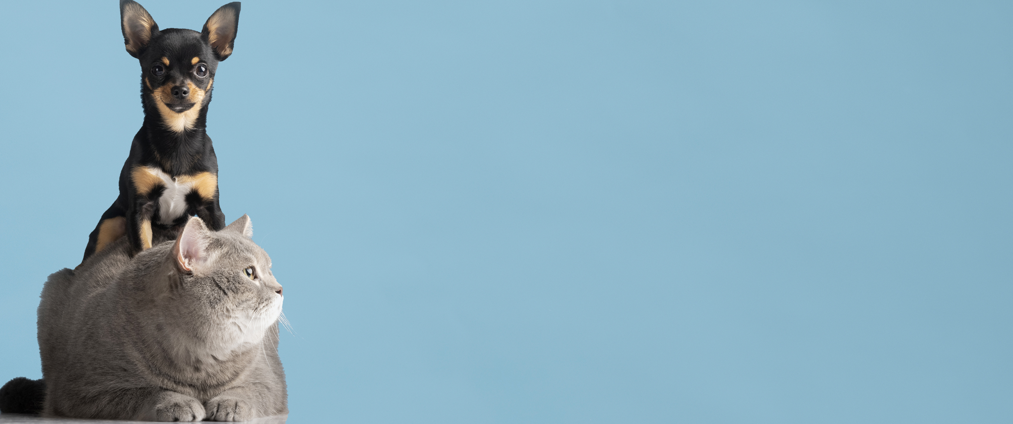Desktop image