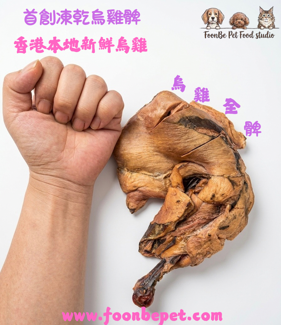 五髀齊下 (五髀套裝) |香港製造