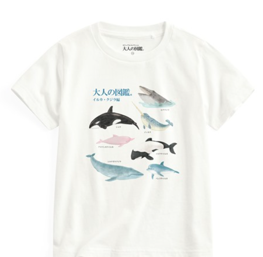 大人的圖鑑印花T恤-童