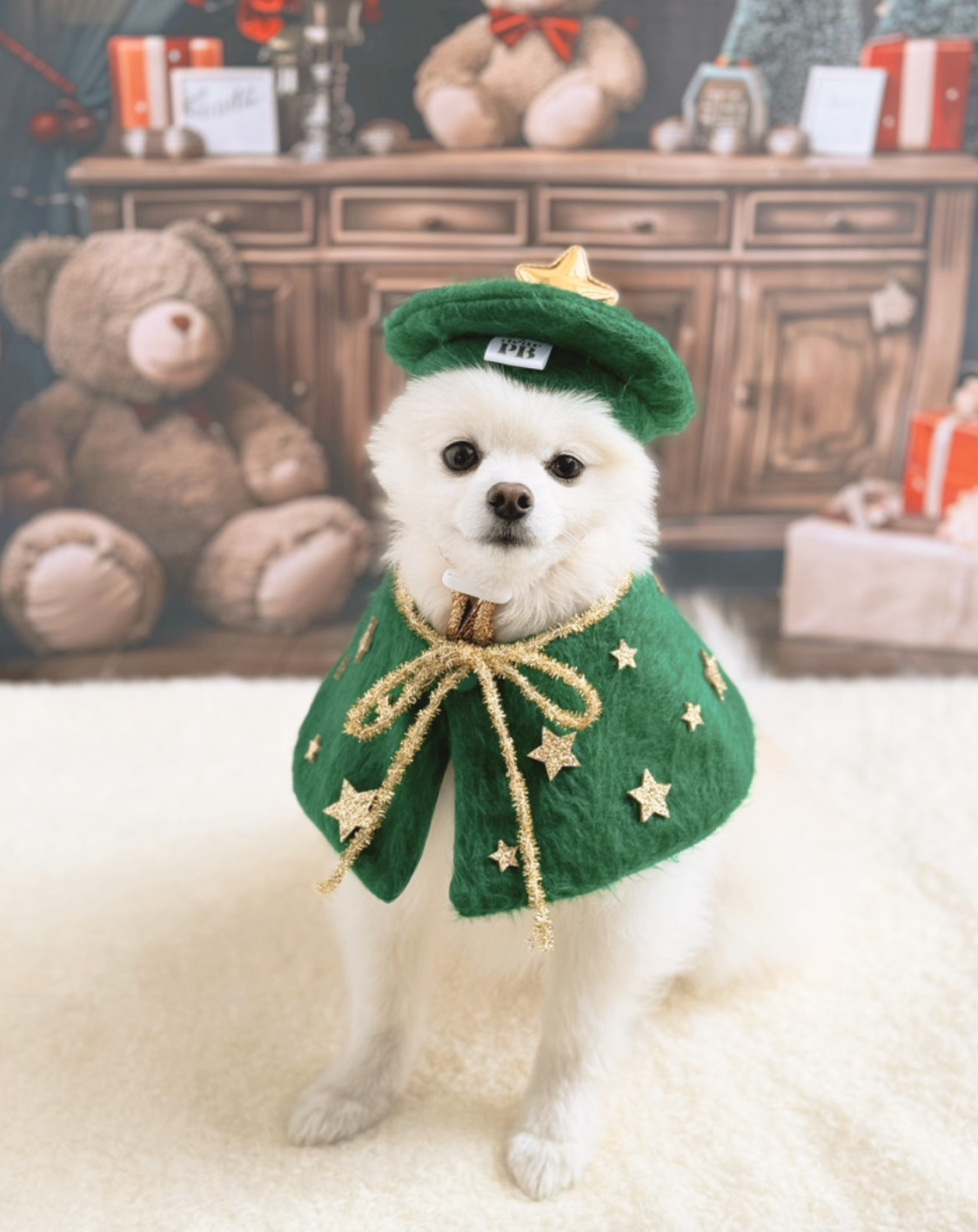 韓國🇰🇷  Christmas Tree cape