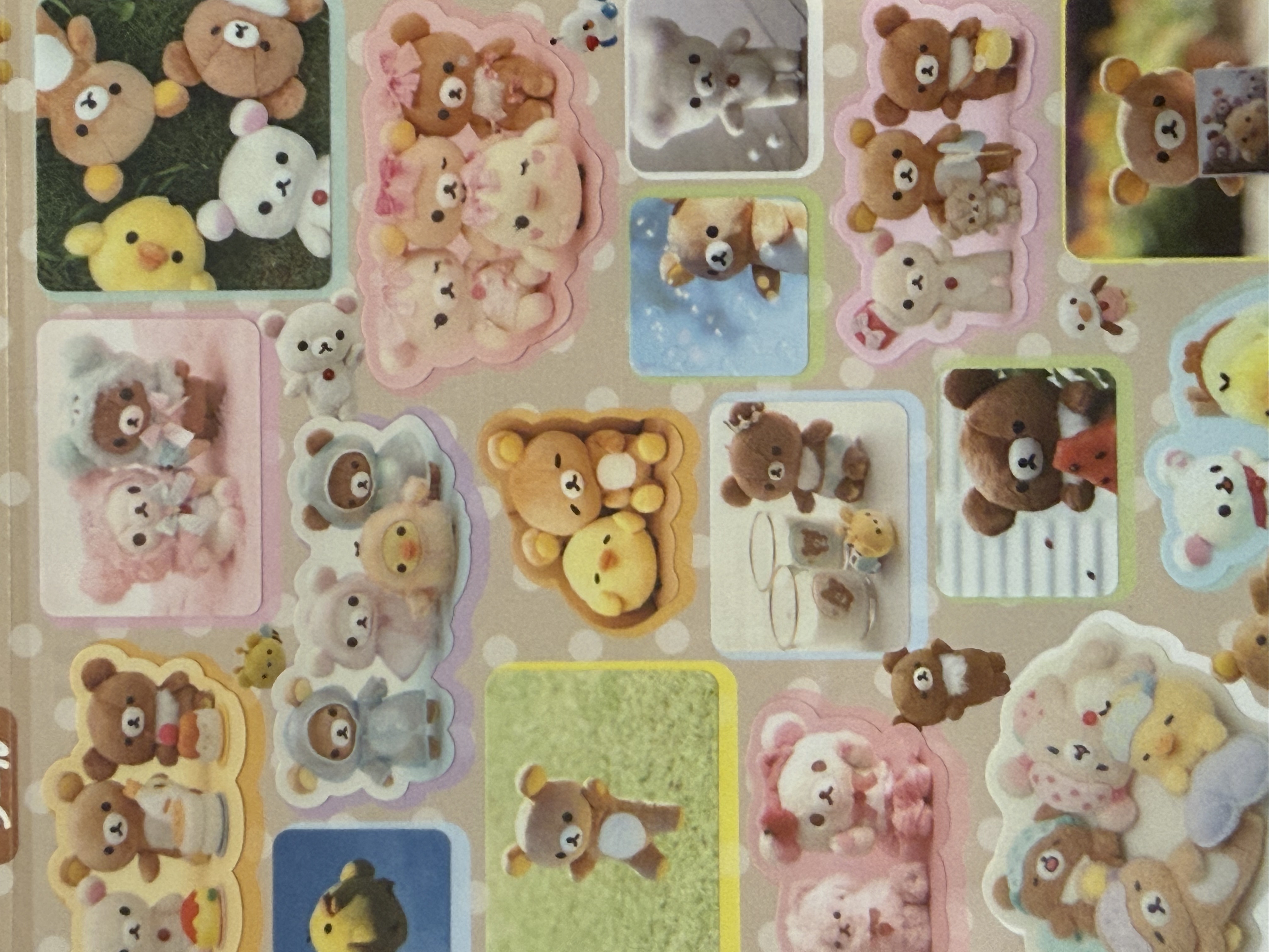 《現貨》全新rilakkuma寫真系列貼紙