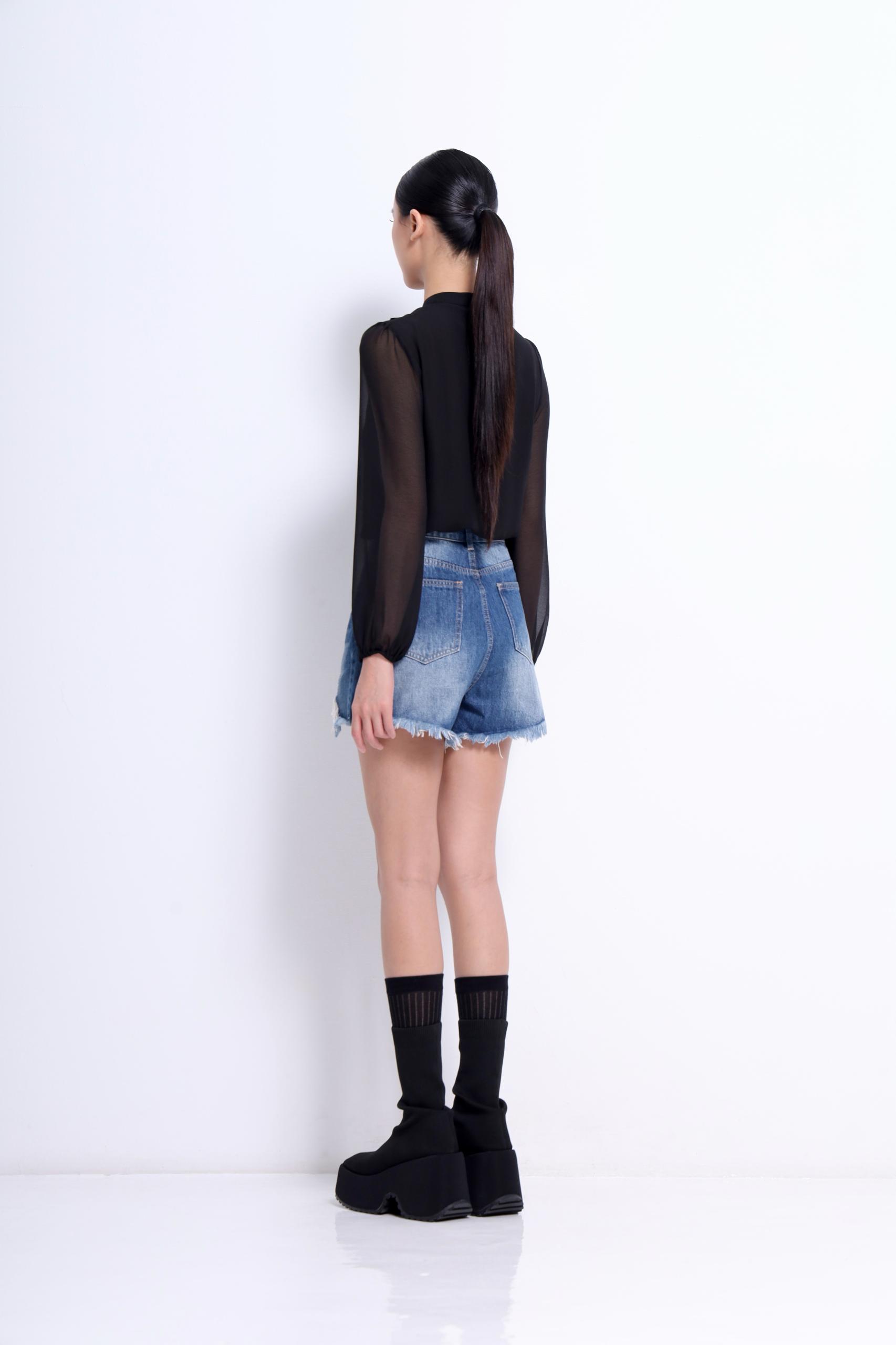 CB2721 SHEER CHIFFON LONG SLLV BLOUSE