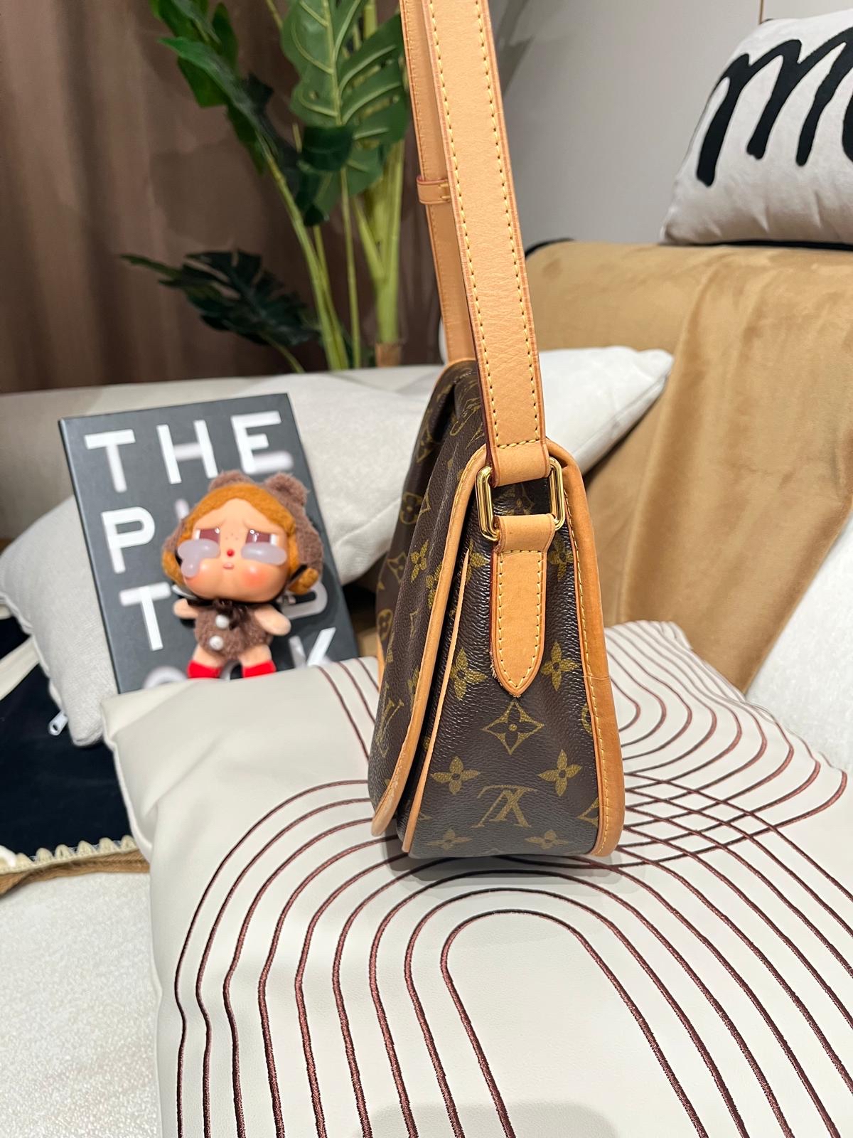  Lv Menilmontant PM monogram crossbody bag 100%Authentic ,95%new✅dust bag  