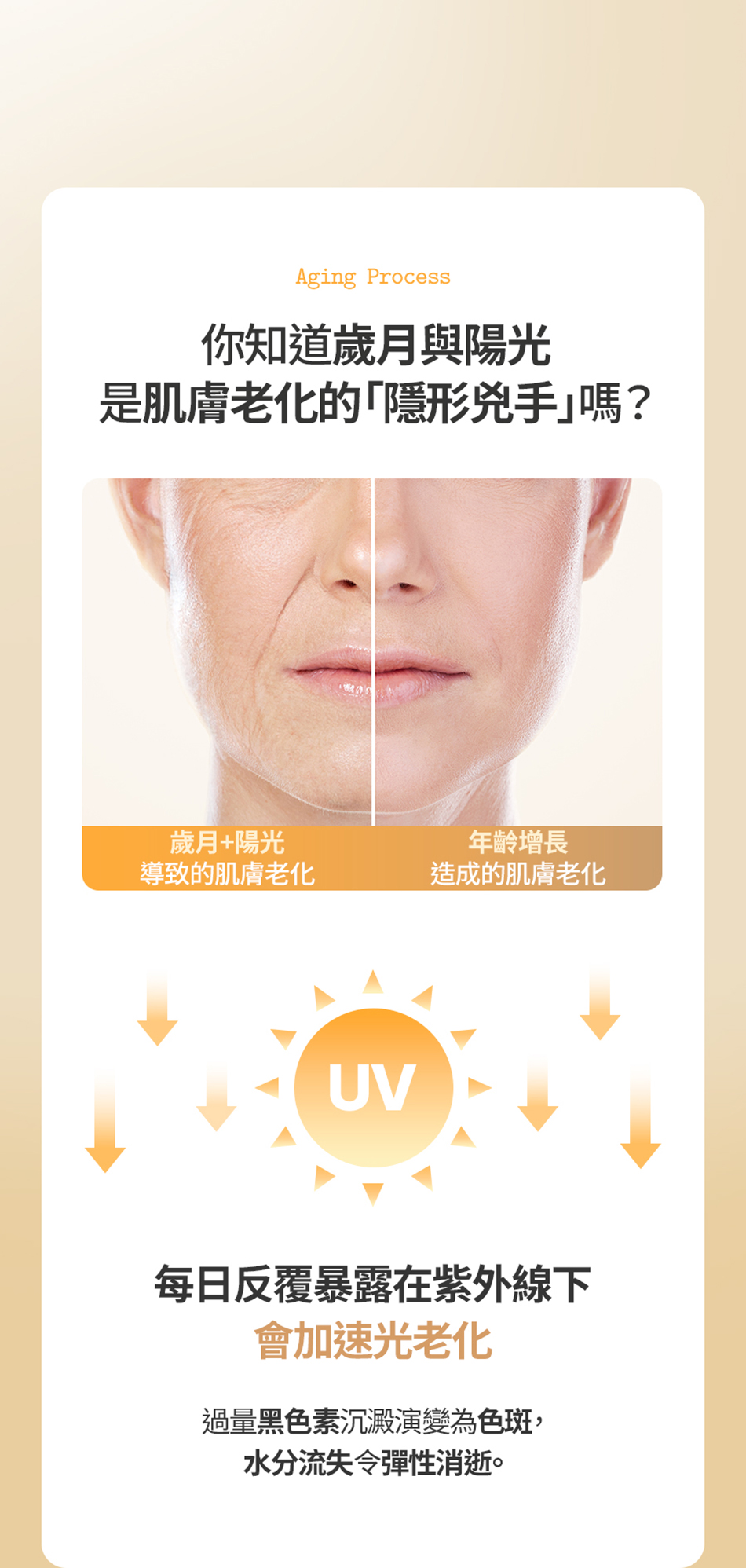 FULLY RICE CERAMIDE MOISTURE SUN CREAM 米糠水潤防曬乳 50ml [預計9月中出貨]