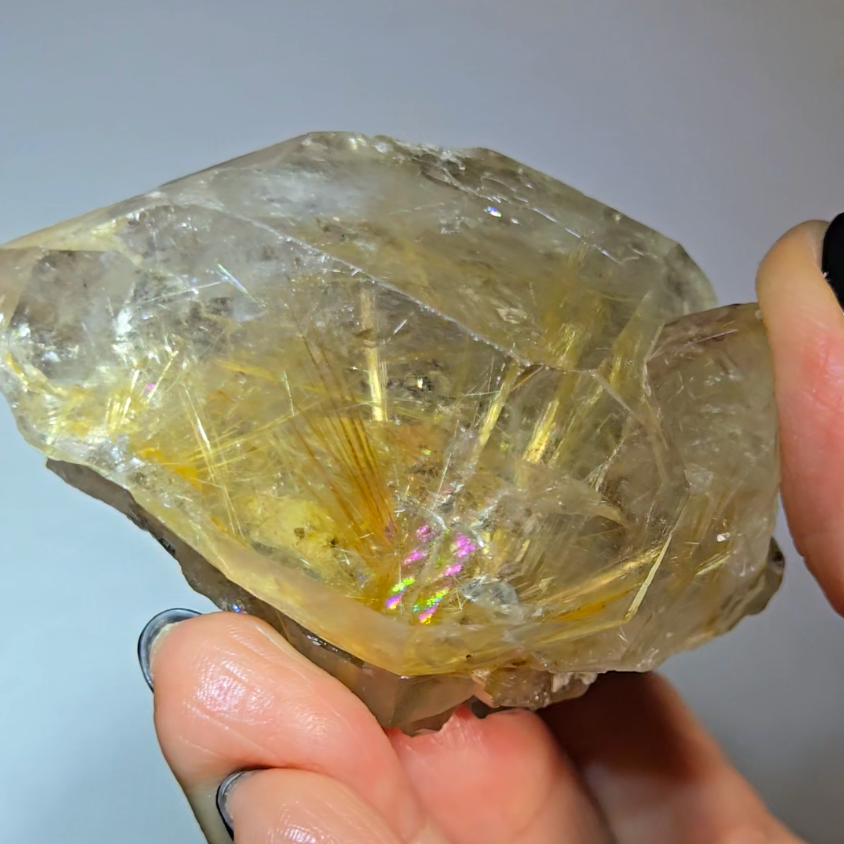 Golden starburst rutiles on black hematite in quartz - RT1429